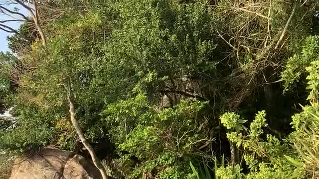 Getting into ancient paths