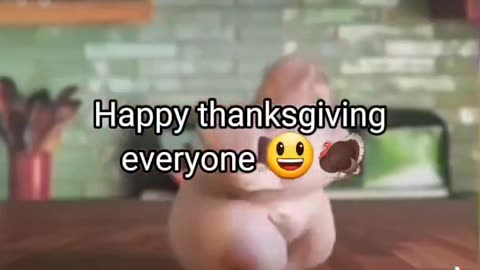 Can't Wait for Thanksgiving