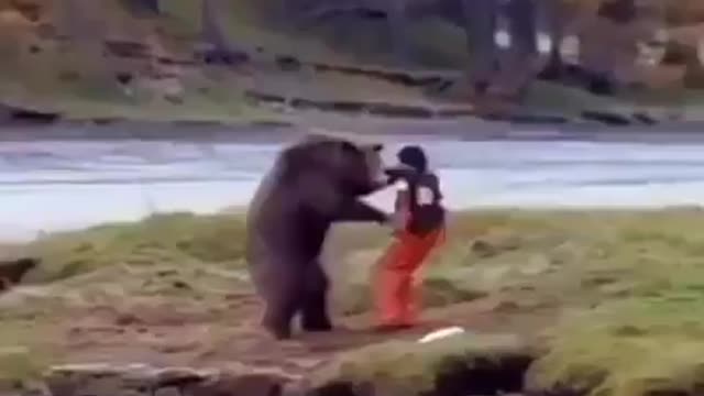 Bear Fighting Man || No Click Bait