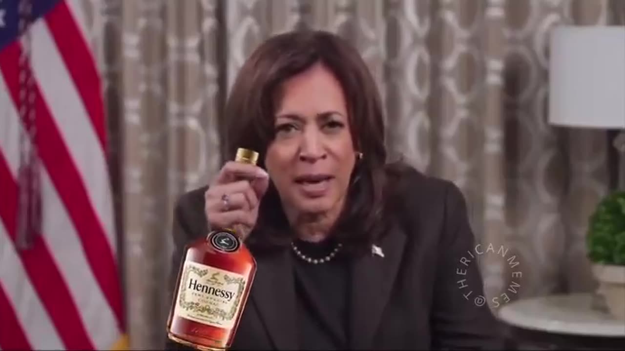 Kamala Harris drunk talking politics a month after losing to Trump