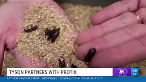 ONE OF THE BIGGEST MEAT PRODUCERS ARE INVESTING IN INSECTS