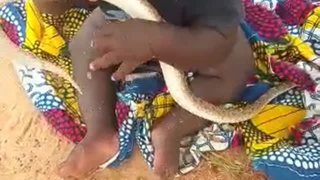 Baby eating live snake