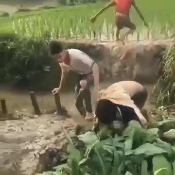 Two places of lovesickness are covered with