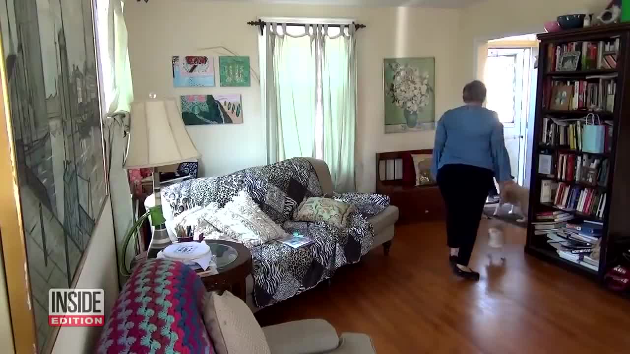Dogs tested to See Whether They’d Defend Owner