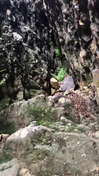 Maple Canyon in Utah beautiful