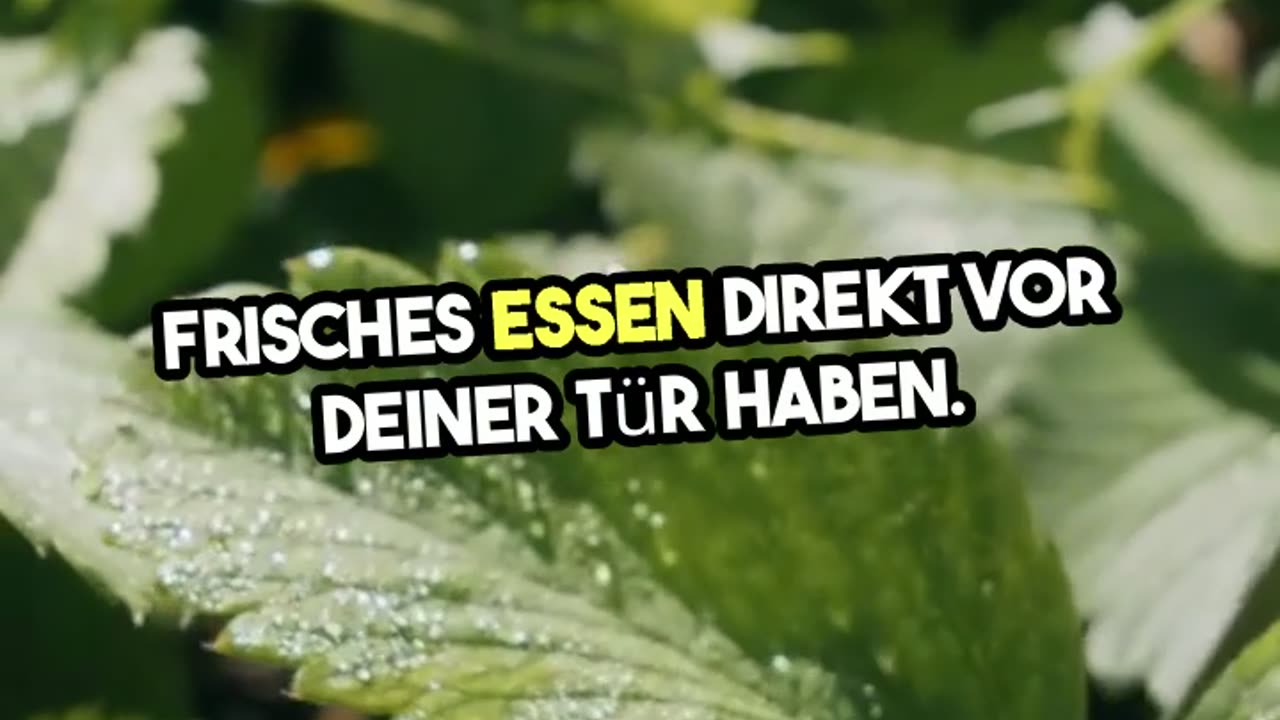 Krisenvorsorge und Survival - Selbstversorger Lebensmittel