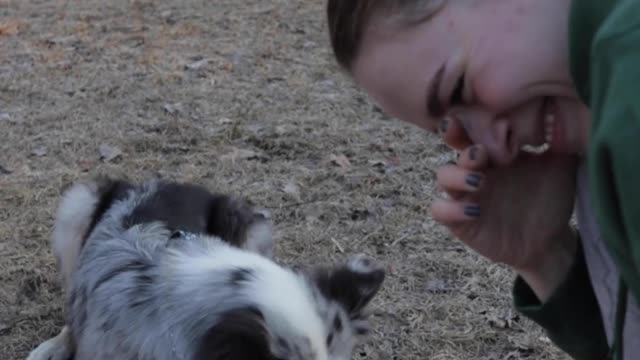 Cute and Shy Dog Playing With His Owner *MUST SEE*