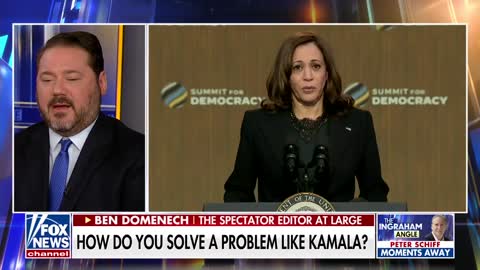 White House knows Harris is 'horrendously incompetent, totally useless'