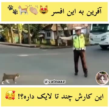 How many likes does this work have?