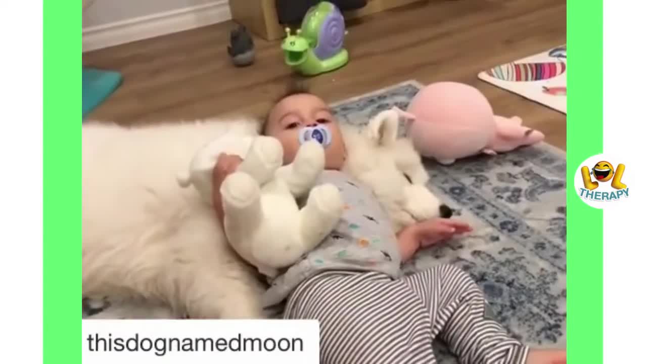 Funny babies laugh hysterically during dog compilation-dog and baby laugh