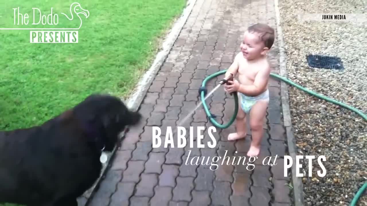 Babies Laughing with Pets