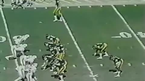 1985-01-06 Pittsburgh Steelers vs Miami Dolphins