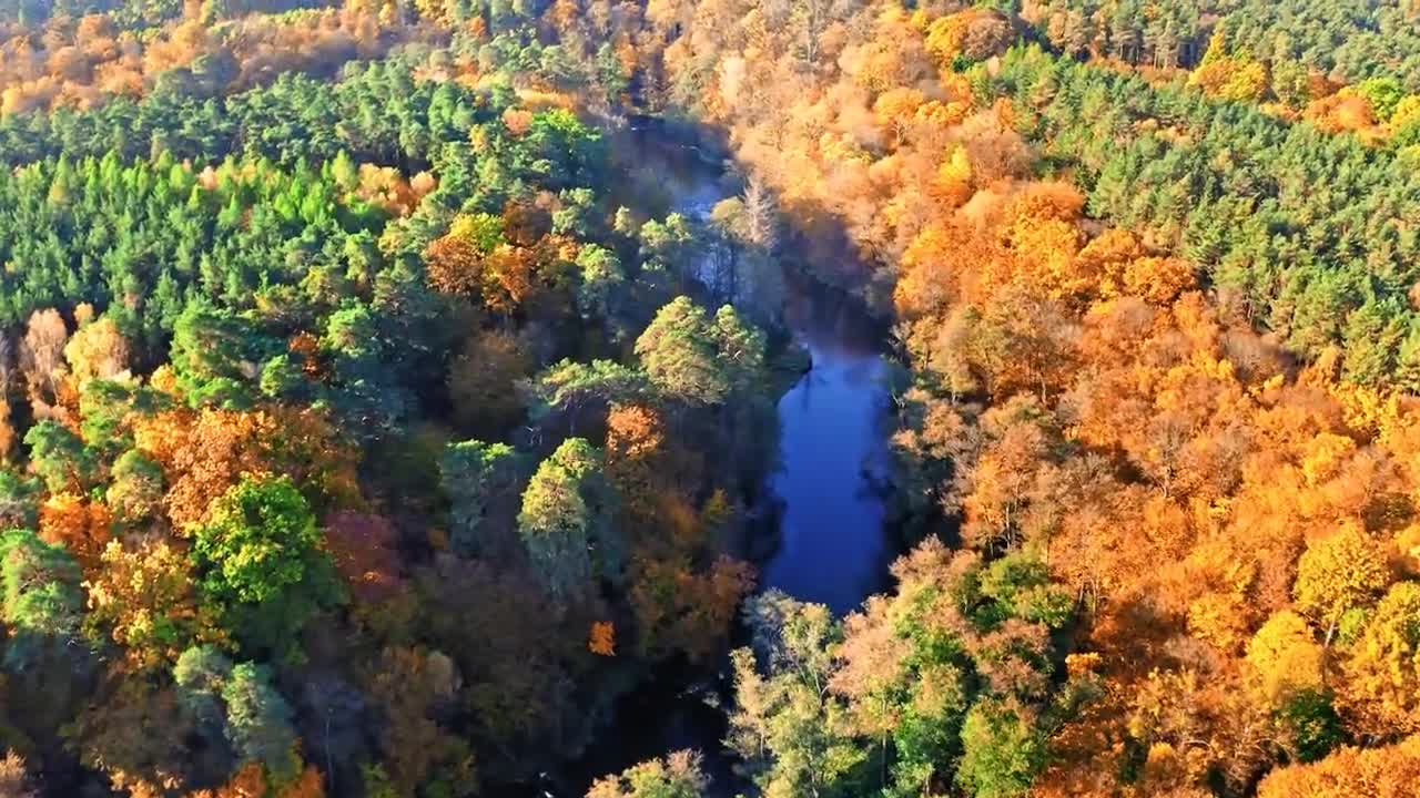 Enchanting Autumn Forests with Beautiful Piano Music
