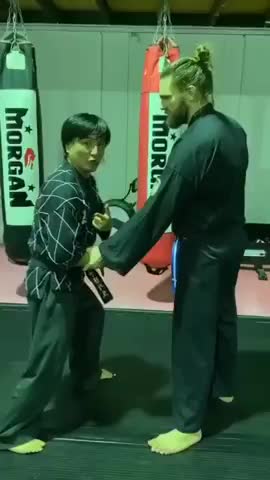 Grand Master Kiwan Kim Hapkido
