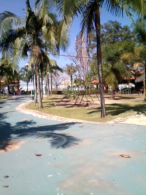 No parque municipal de barueri os pato