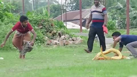 Foreign funny videos, spoofs, pranks