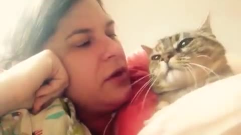 Talking cat says NO! to kisses on the head