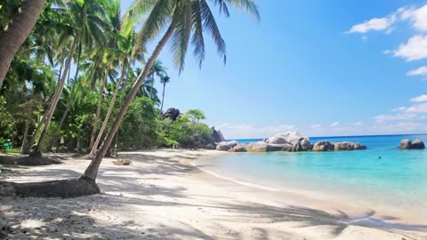 Beach landscape with trees and sounds of nature for relaxation and happiness