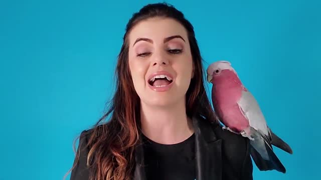 My Parrot Food Won an AWARD in Pet Business Magazine! Collab with TOPs Parrot Food