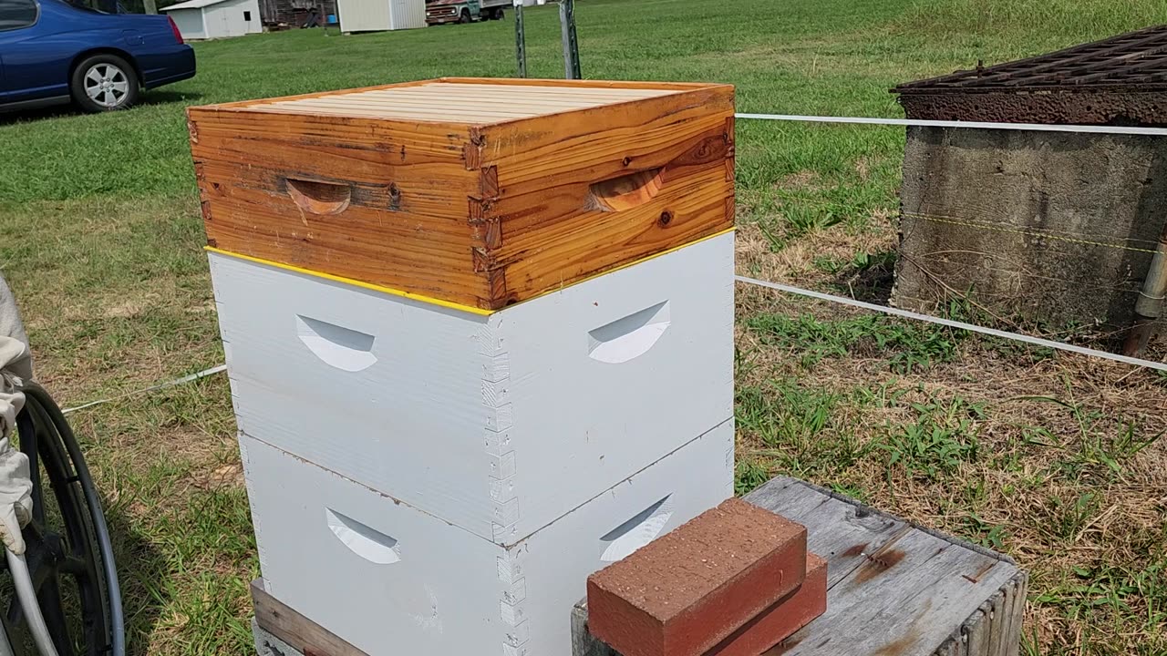 Bee hive super placement