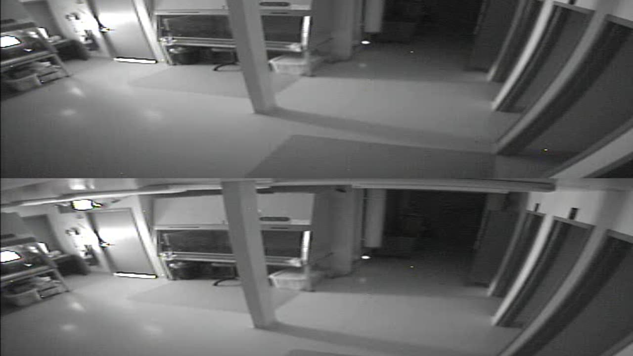 1702CRIB01CribAnalysisArea_2021-01-06_07h40min01s977ms.mp4