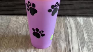 Color Changing Tumbler