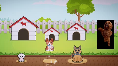 Kids Cartoon/Learning Kids/Kids Entertainment/Dog Learning