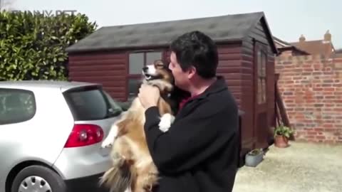Dog meet his owner after a long time.....