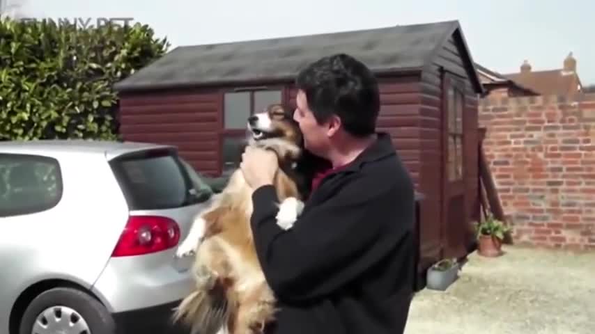Dog meet his owner after a long time.....