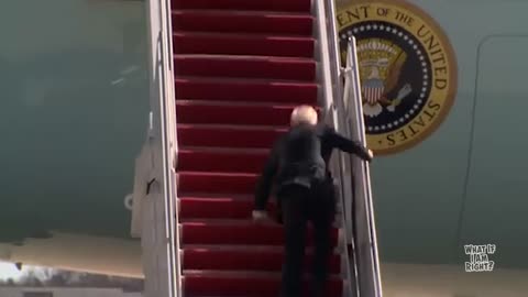 Alpacas, Cadillacas - Honky Tonk Joe Biden