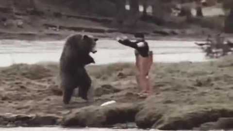 A man and bear fight respect videos