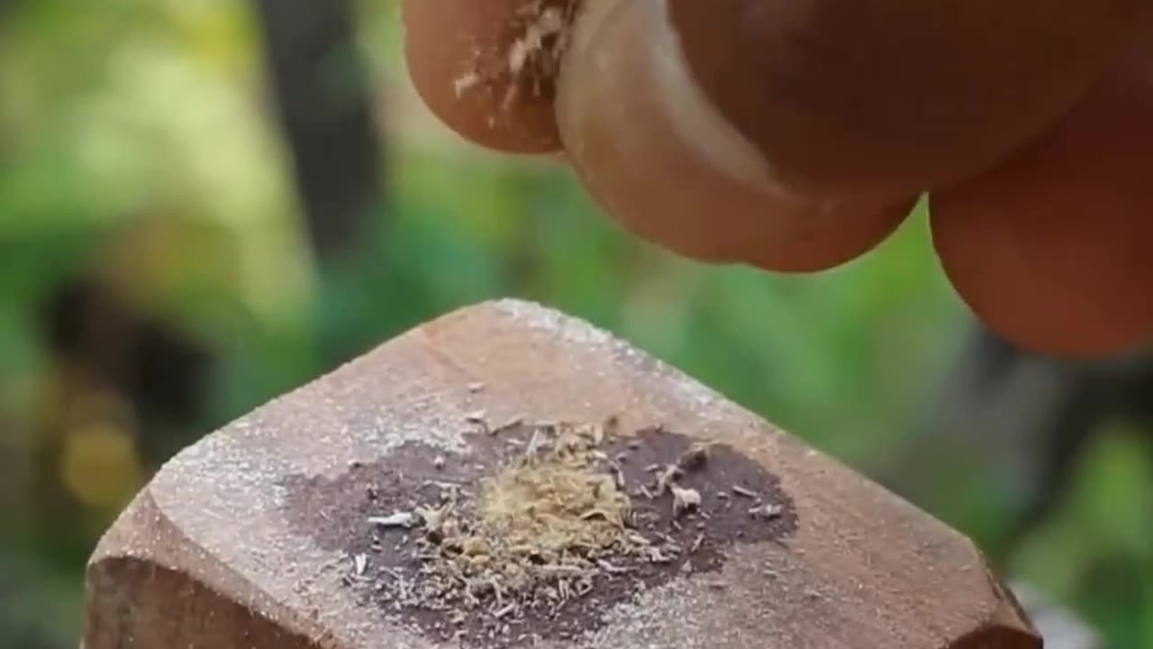 Satisfying video