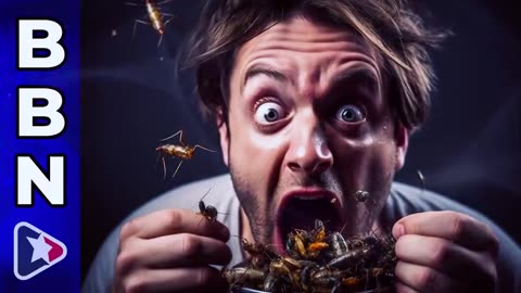TYSON FOODS LAUNCHES INSECT PROTEIN PRODUCTION - BBN, FEB 26, 2024