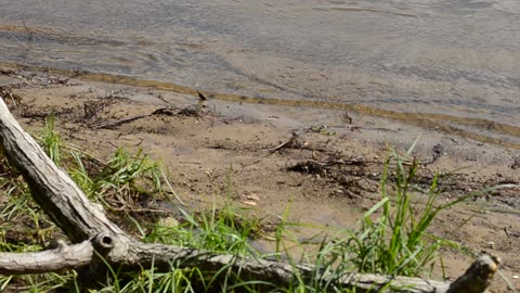 east fork lake