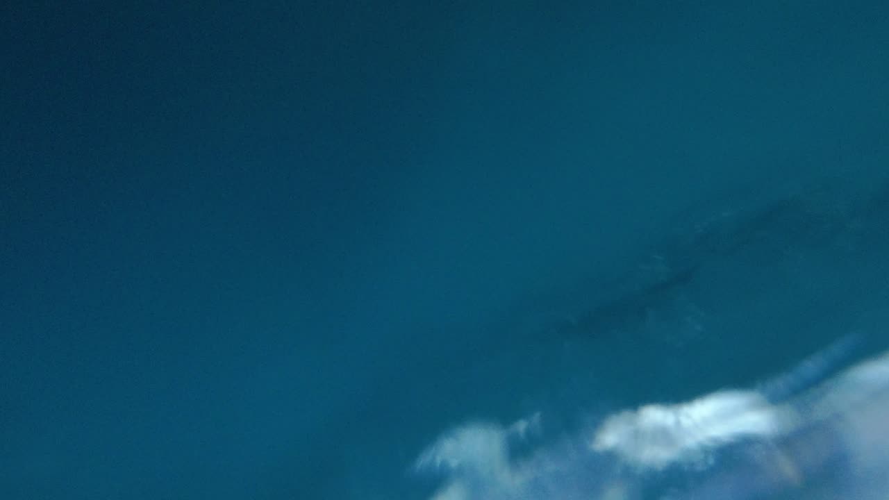 Humpback Whale Calls Below the Surface