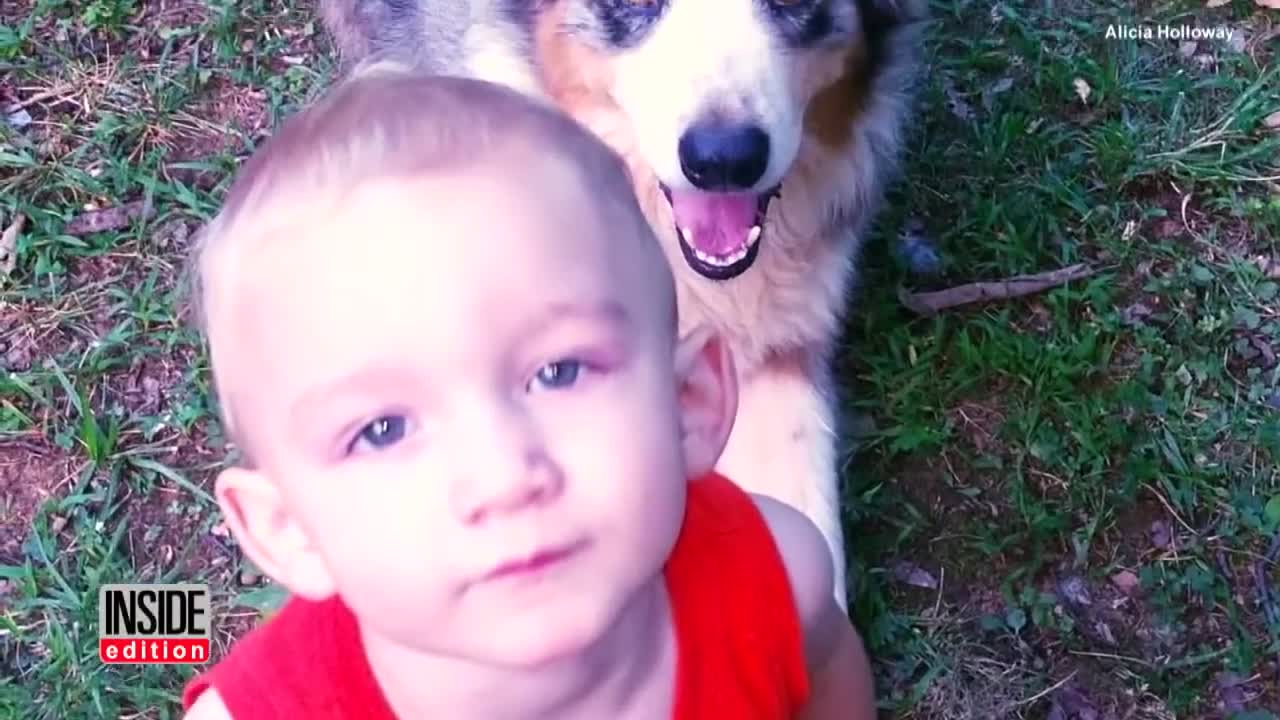 A Pet Dog Saved This Couple's Toddler From a Snake Attack