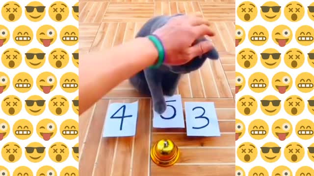 This smart Cat can tell you who much bell you sound