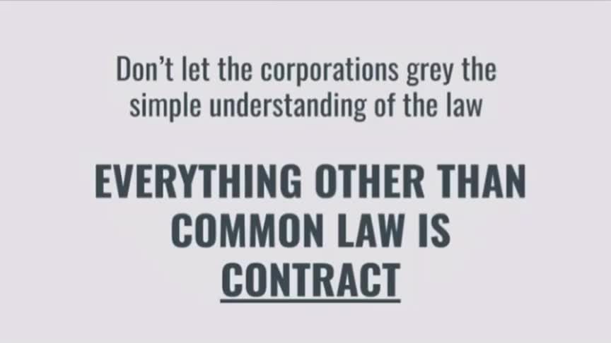A Beginner's Guide To Common Law