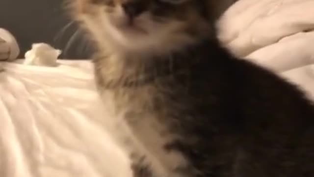 mine of the cutest you've ever seen