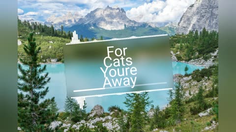 For Cats You're Away