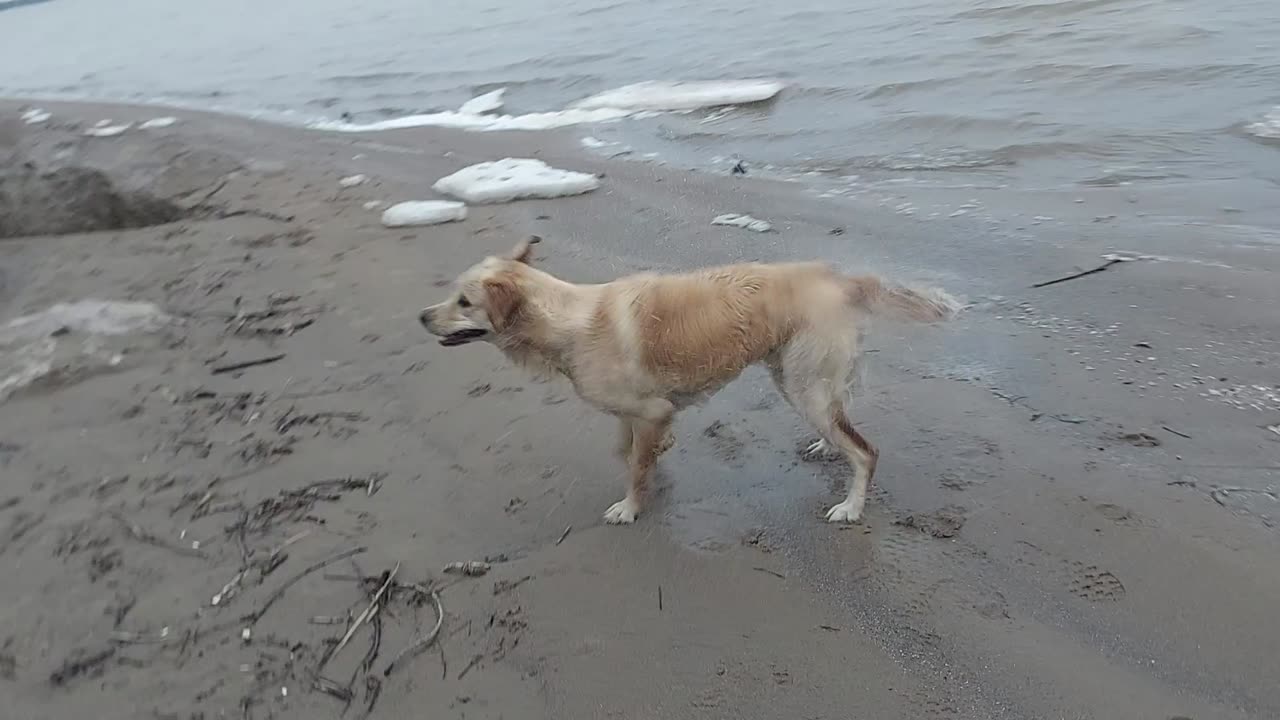 Winter swimming