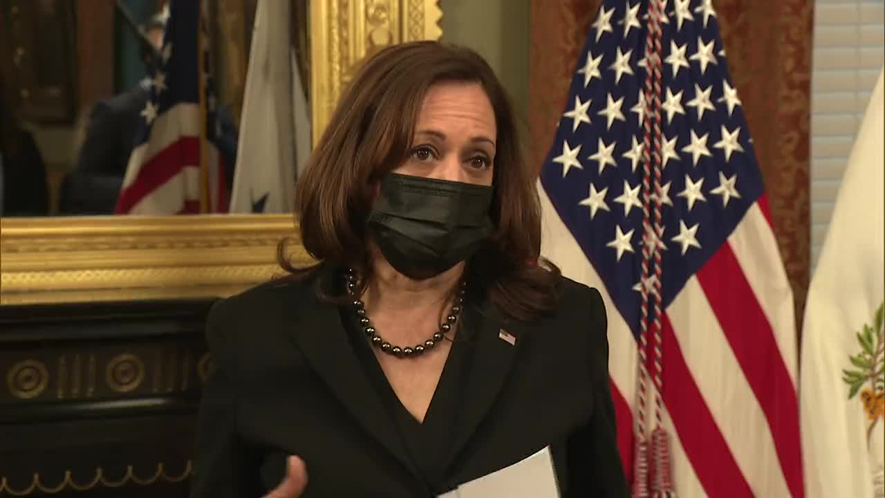 Kamala Harris Rebukes Supreme Court, Doesn't Know the Three Branches of Gov't