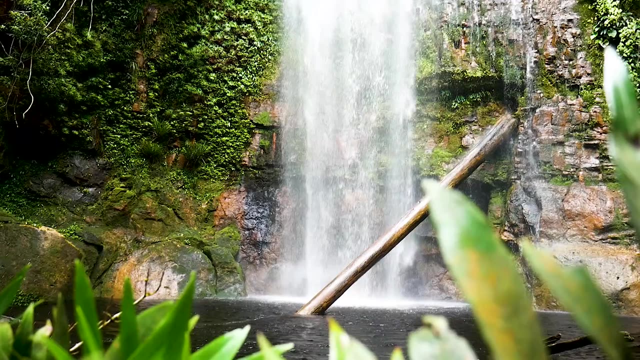 FREE NO COPYRIGHT 4K VIDEO OF FOREST WATERFALL,