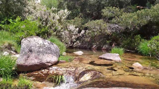 Relax and Soothe Your Anxiety and Worry. Sound of waterfall and a flute in the background.