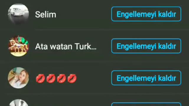 Blokdakylar nayli