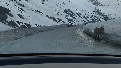 Manali to Leh