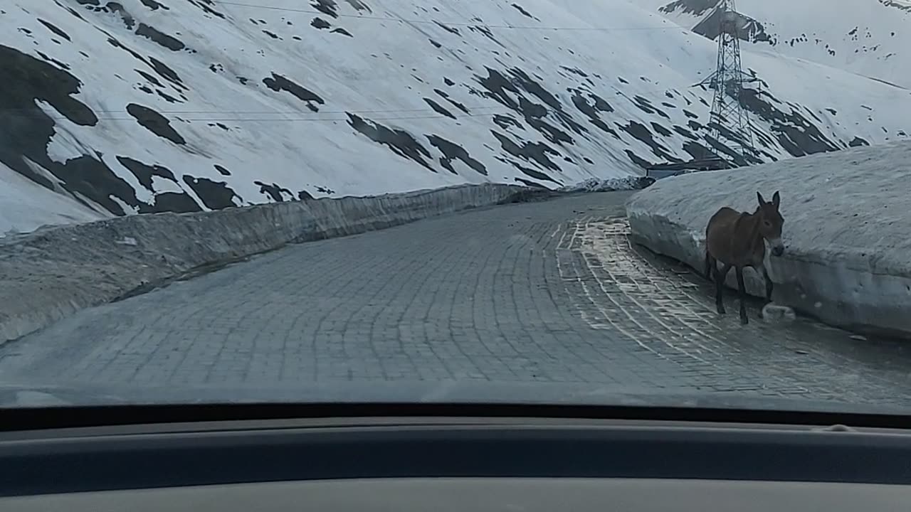 Manali to Leh