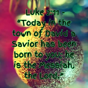 🎄 Countdown to Christmas: Day 2 - A Hopeful Beginning 🎄