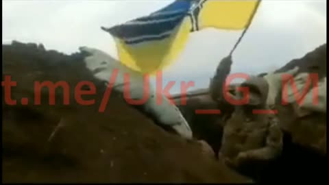 Ukraine Nazis waving Nazi Flags