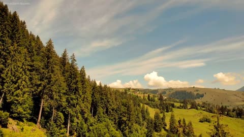 Magnificent Mountains, Forests